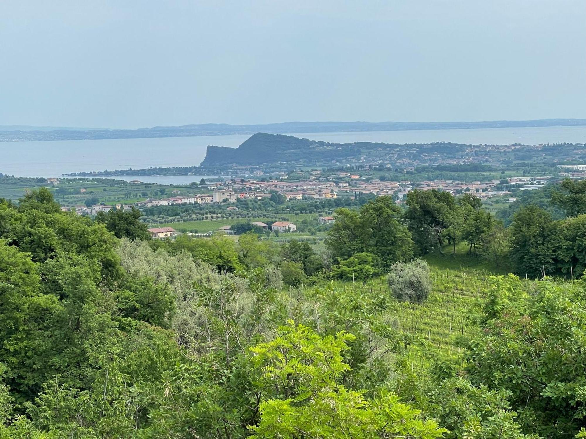 Villa Maria Apartments Moniga del Garda Luaran gambar